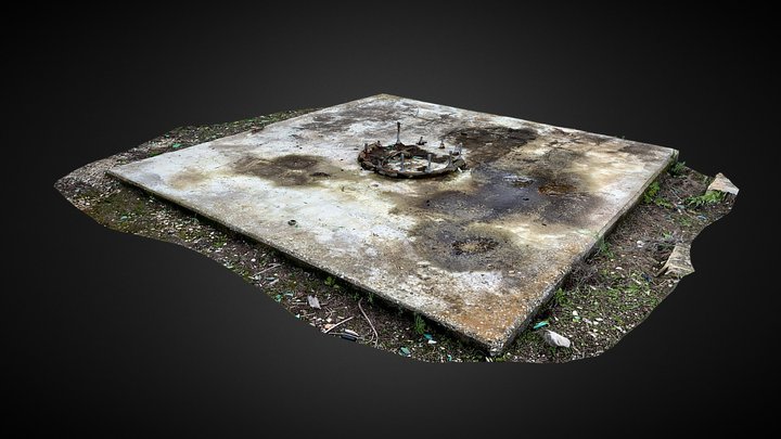 Forest Base