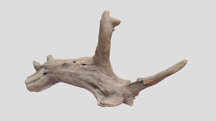 The coolest driftwood I've ever seen in my life – Kostenloses 3D-Modell STL