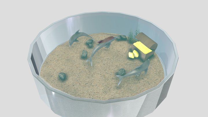 Dolphin Aquarium 3D Model