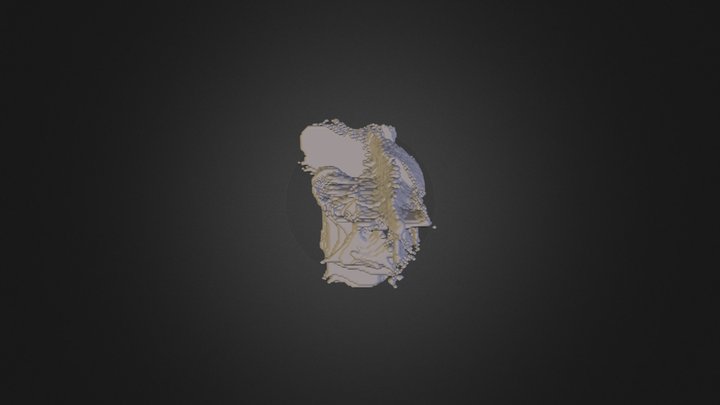 Sudanensis Elastin 3D Model