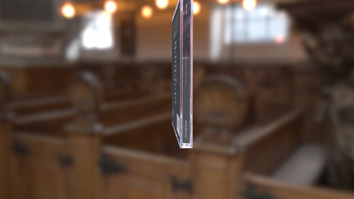 Cdfinal 3D Model
