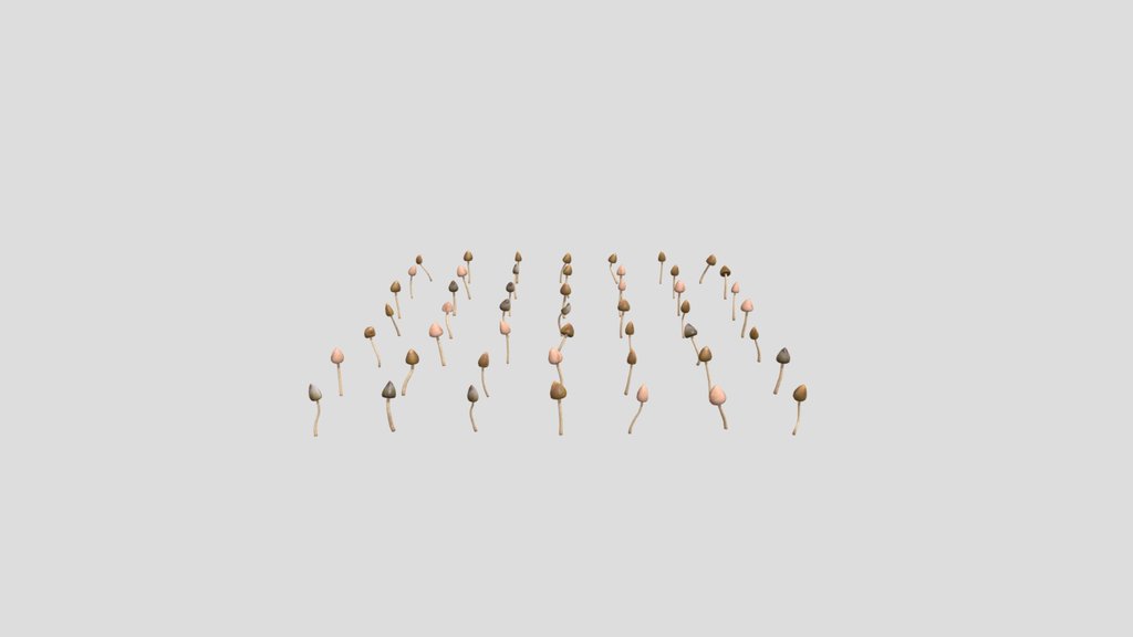 49 Magic Mushrooms
