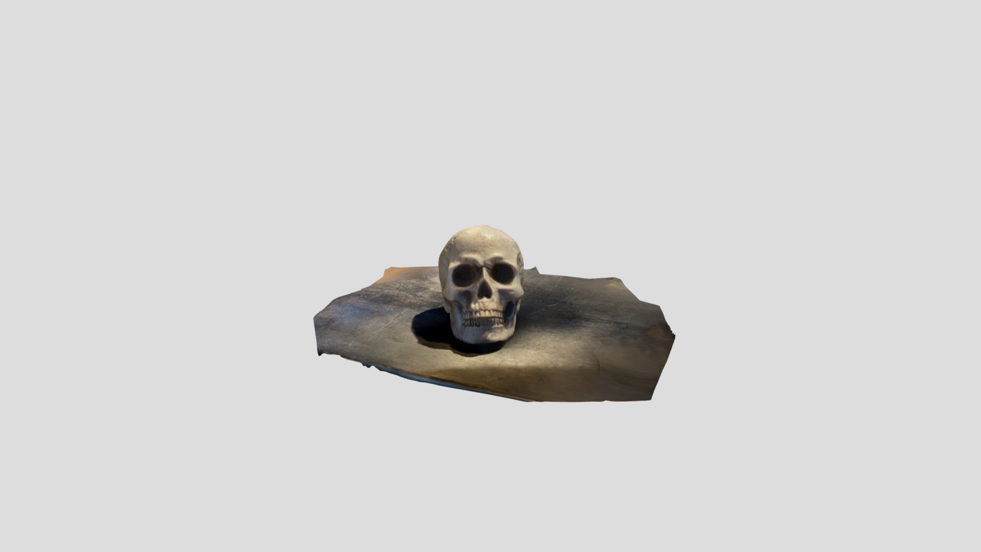 Skull