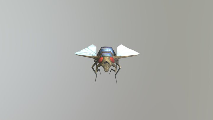 Insect House Fly animation