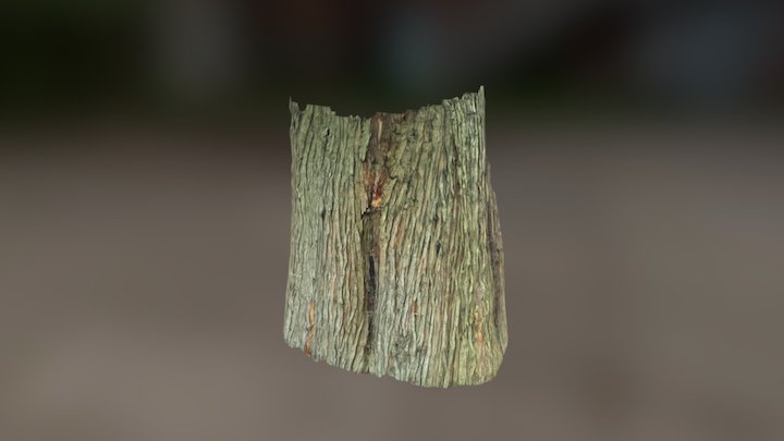 red cedar trunk - cell phone 3D Model
