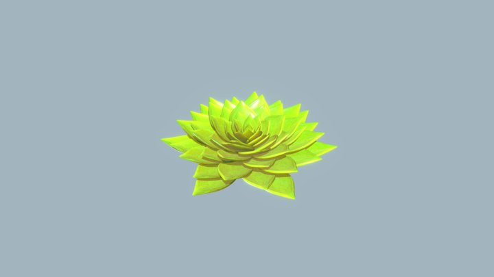 Green Succulent 3D Model