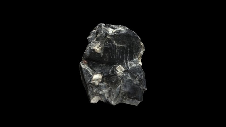 Snowflake Obsidian 3D Model