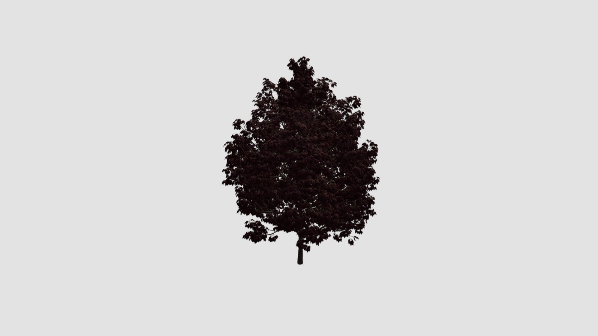 Tree - Buy Royalty Free 3D model by Evermotion [8e182cf] - Sketchfab Store