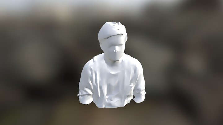 3D Scanning 3D Model