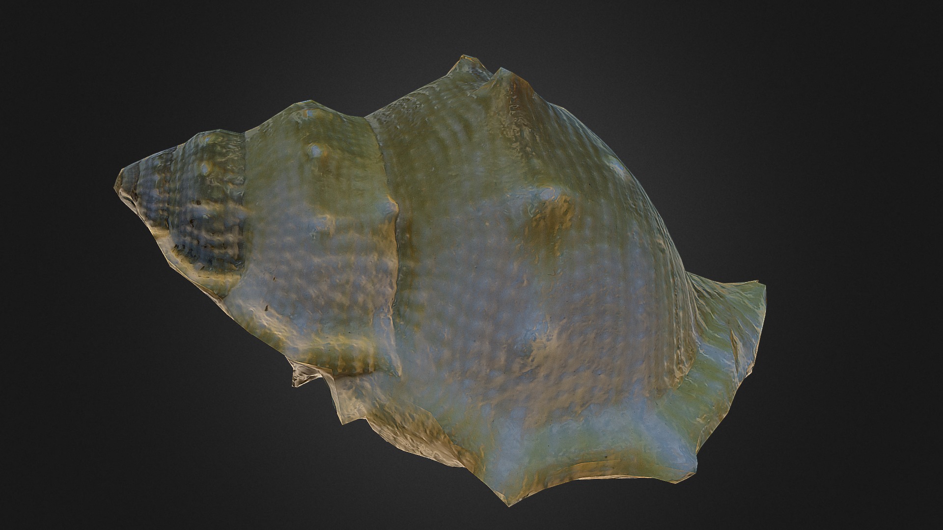 3D model Sea Snail - This is a 3D model of the Sea Snail. The 3D model is about a close-up of a rock.