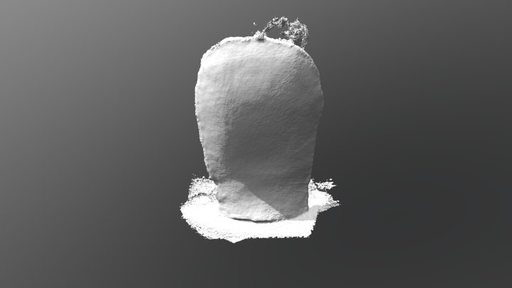 Scan moule 3D Model