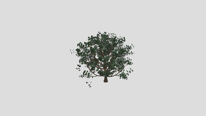 Dark Shiny Leaf Bush Small – Modello 3D gratuito STL