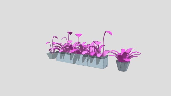 Alien Plants 3D Model