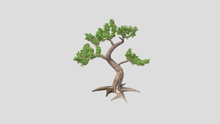 Bonsai Tree FBX 04 3D Model