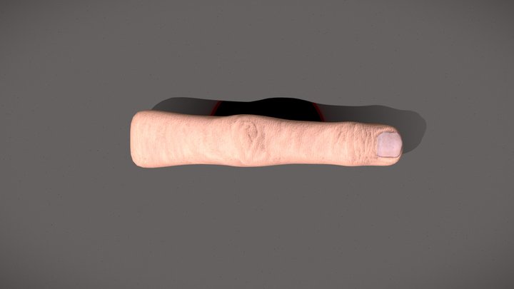 Finger 3D Model