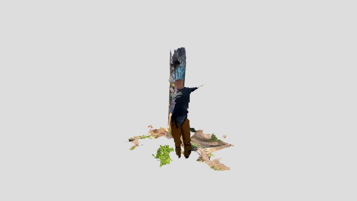 tree varieties 3D Model