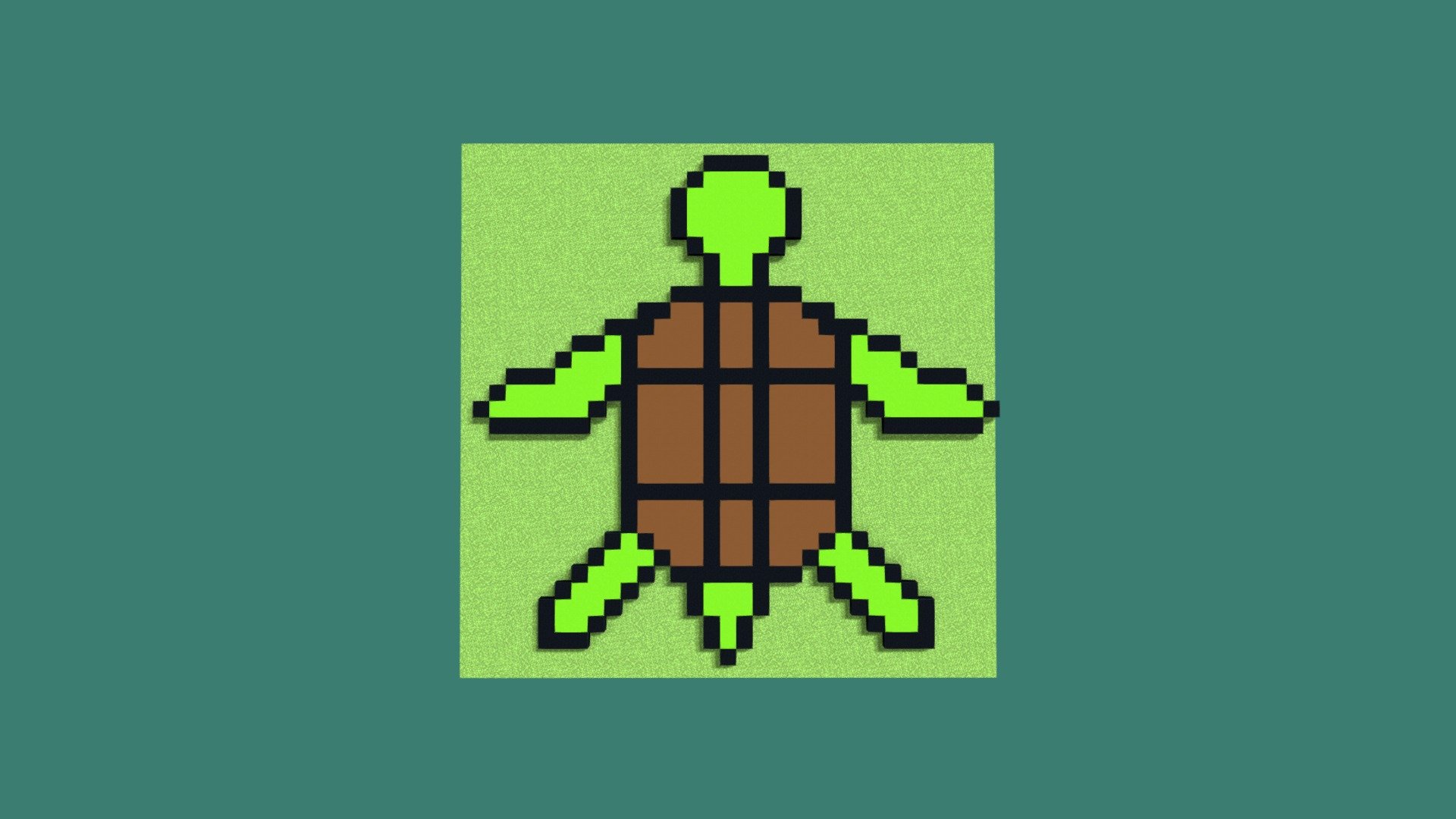 turtle