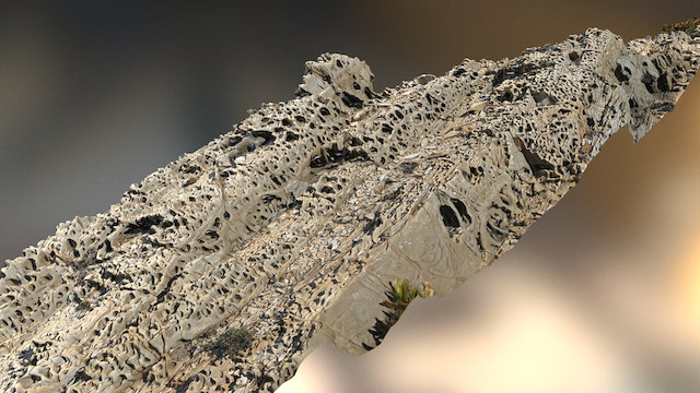 Tafoni (erosion forms) - Photogrammetry model 3D Model