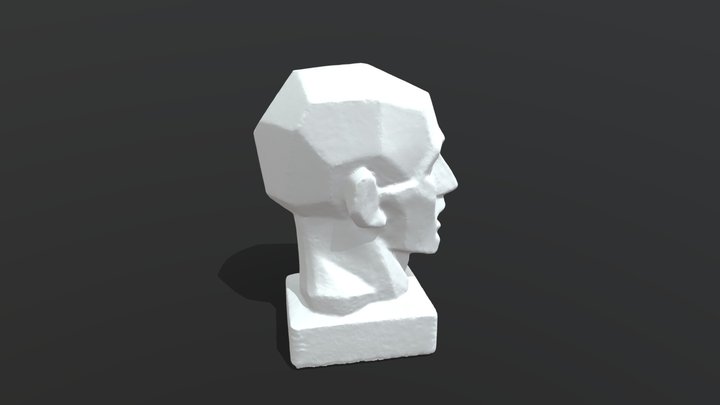 Голова. Обрубовка по Гудону 3D Model