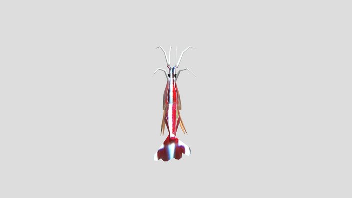 Cleaner Shrimp 3D Model