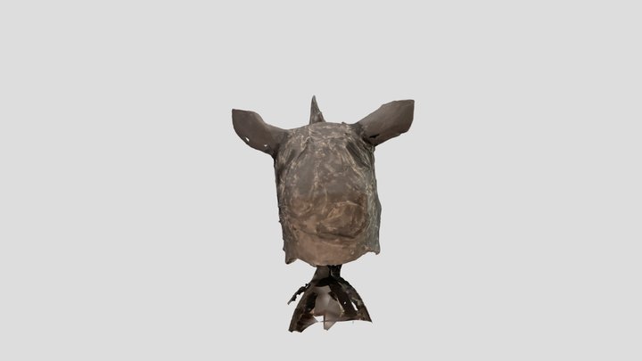 Rhino Mask 3D Model