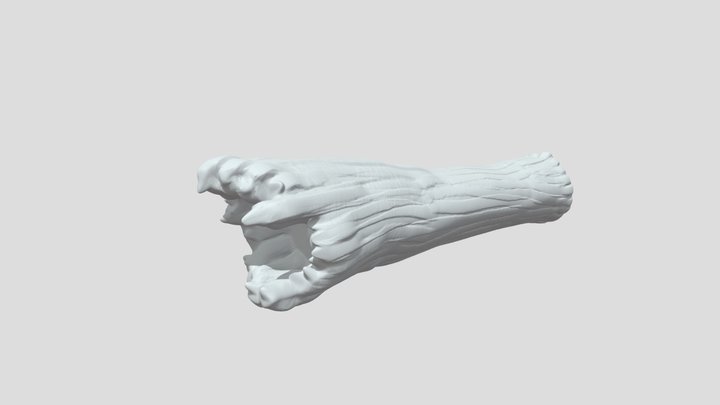 Monstrous Log 3D Model