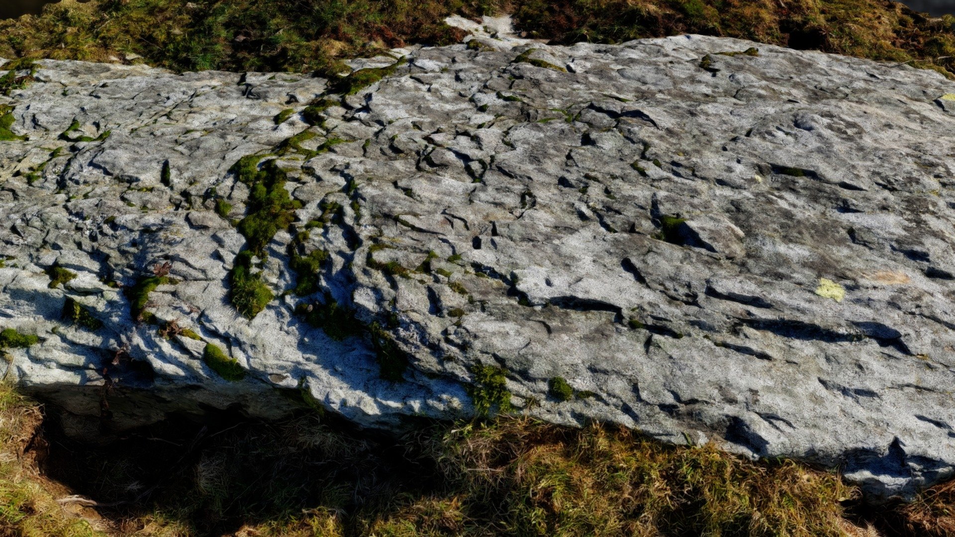 Vyrnwy Stone