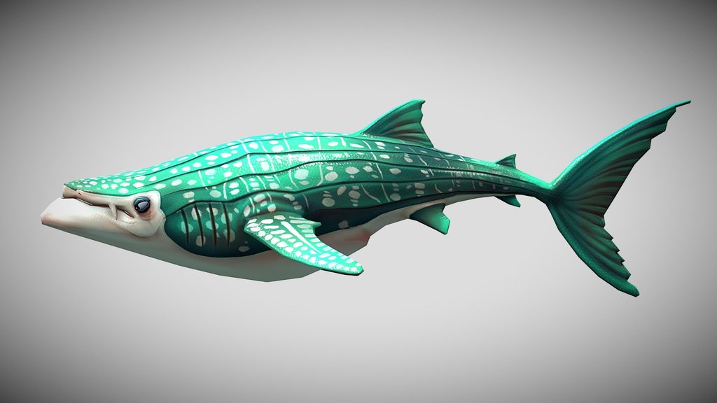 HSW Whale Shark