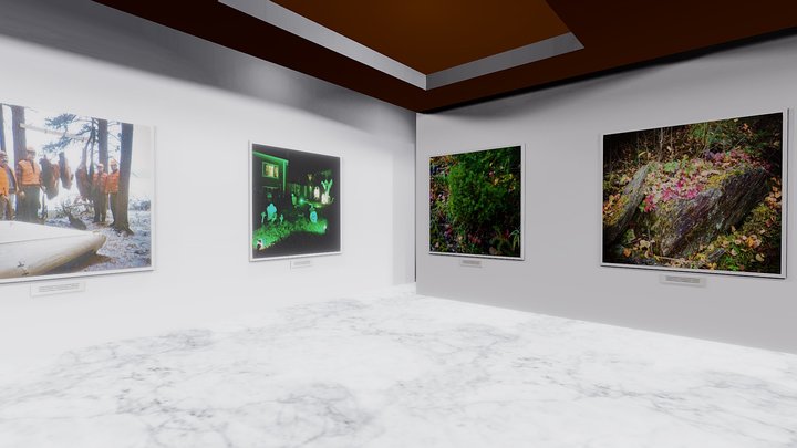 Instamuseum for @supergeo.ca 3D Model