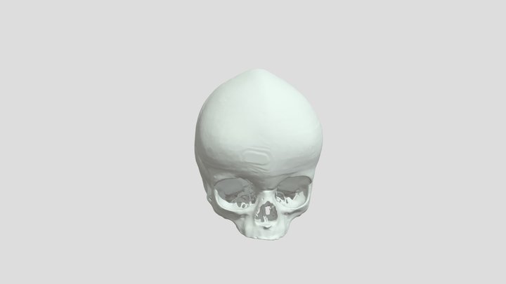 209_03.24 3D Model