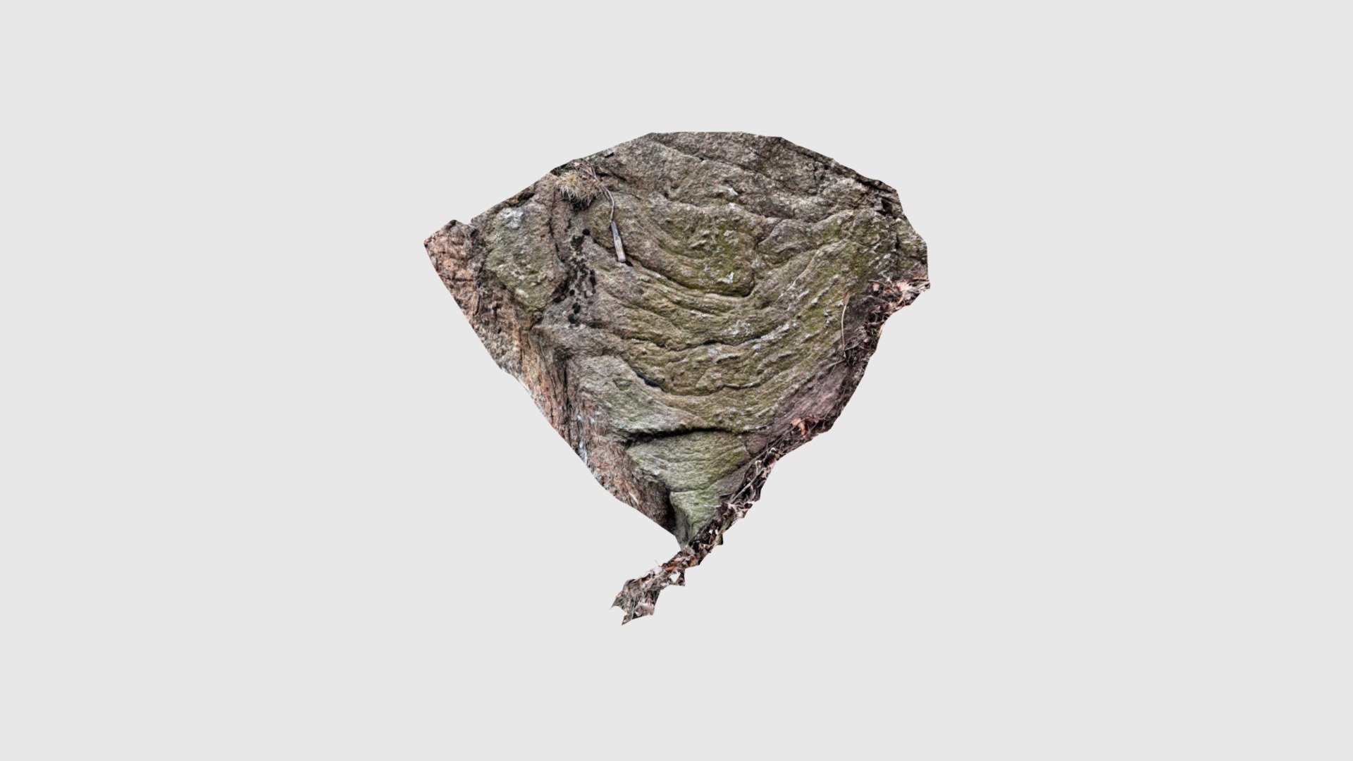 Rheomorphic Folds