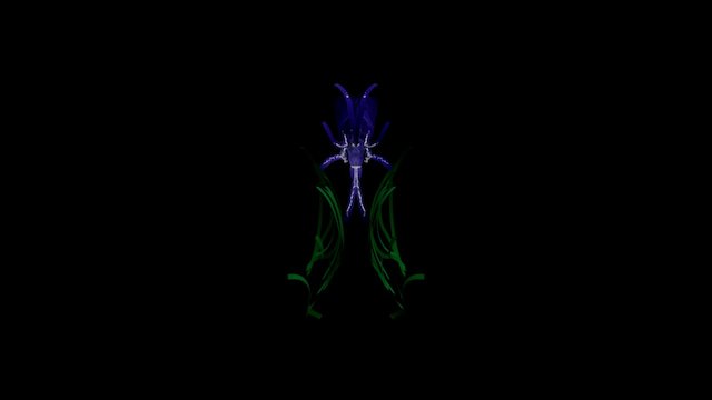Squid 1 3D Model