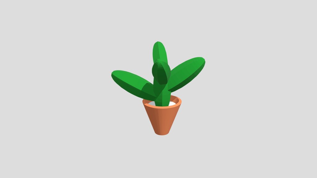 Cactus2
