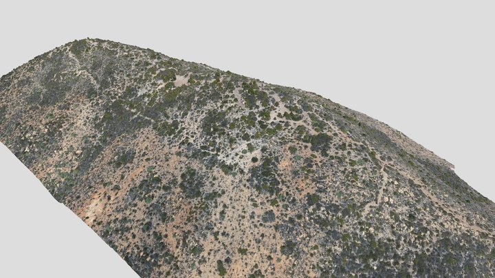 Pucara Cerro Mauco de Aconcagua 2022 3D Model