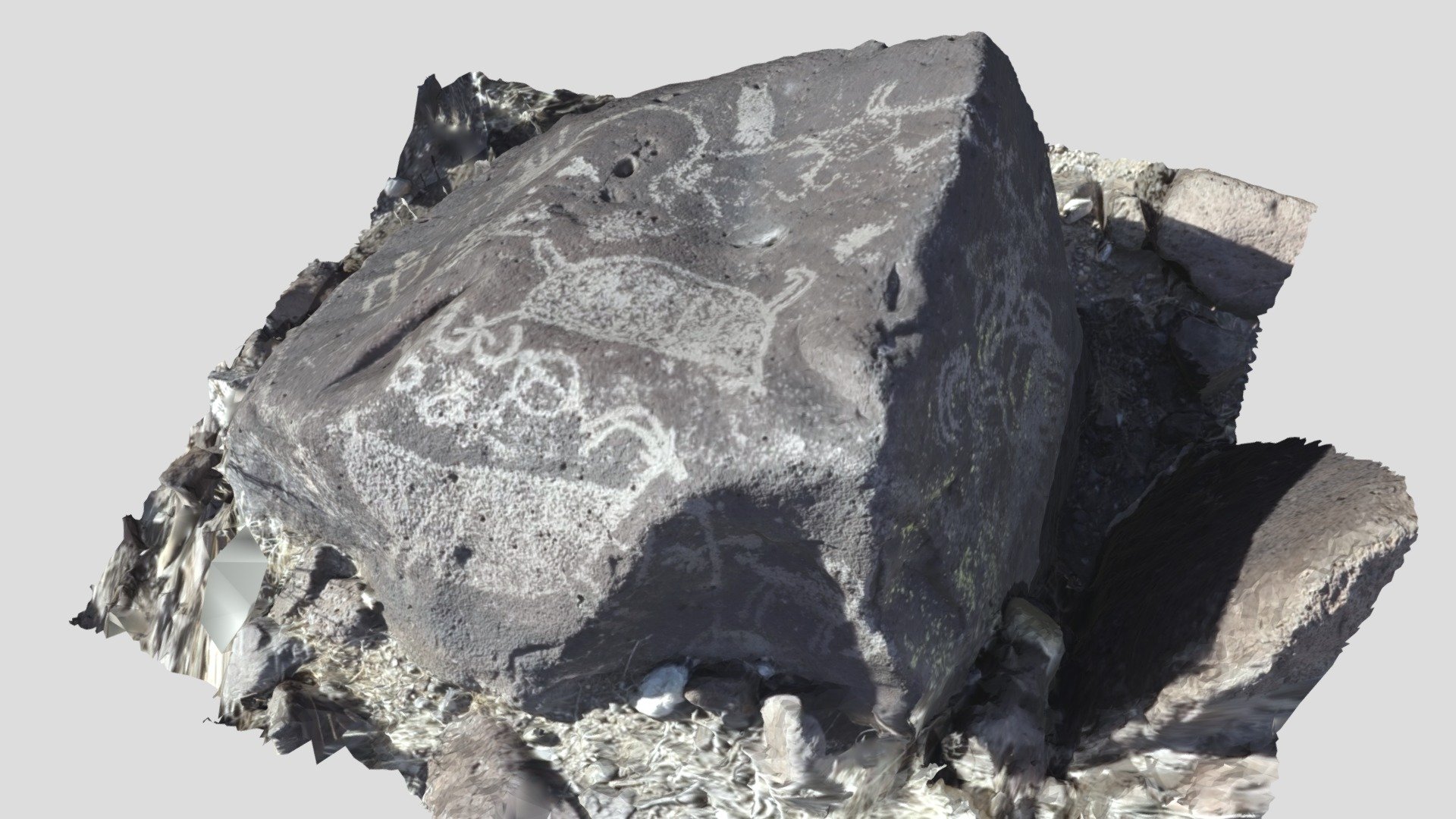 Petroglyph panel