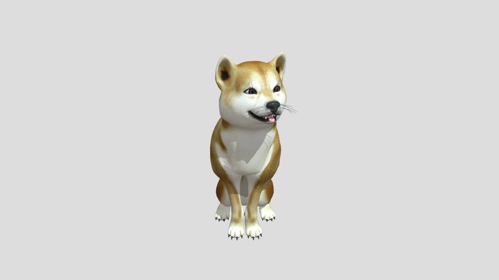 Shiba inu (sitting) 3D Model