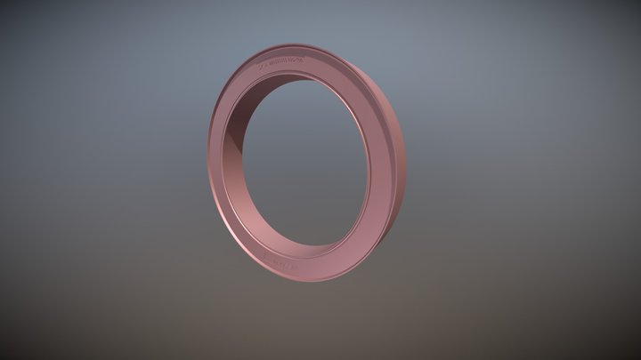 Ring 605X100 3D Model