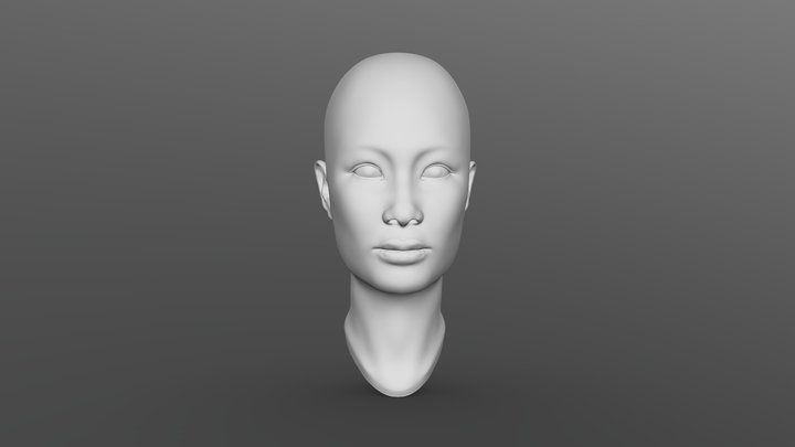 Female Head Study 3D Model