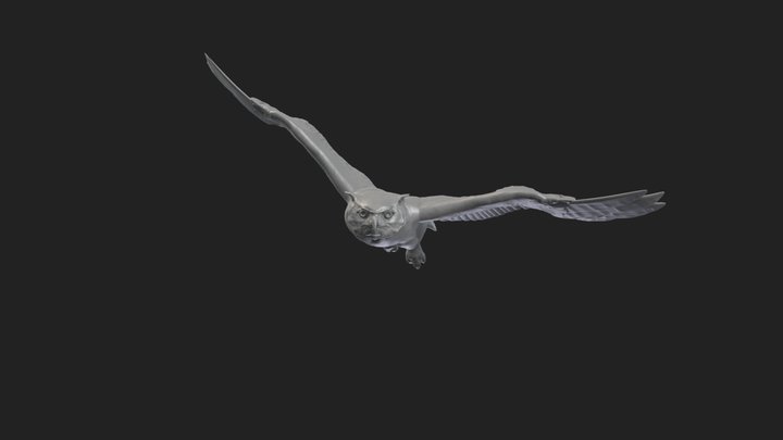Great Horned Owl 3D Model