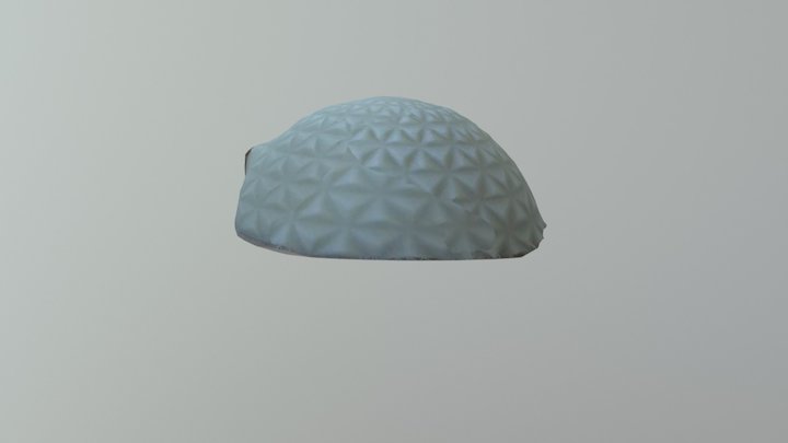 Turtle shell 3D Model