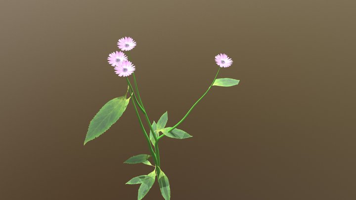 Flower 3D Model