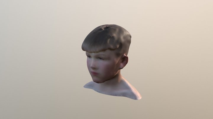Nathan Scan 3D Model