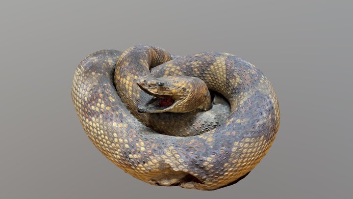 Snake Cane Topper | 3D Print Model