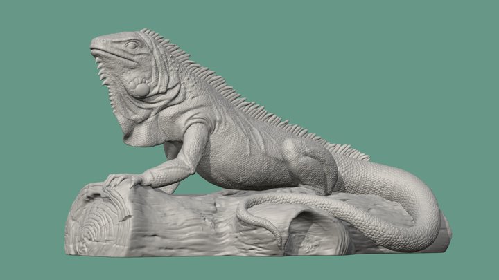 Uploads_files_3231615_ Iguana 3D Model