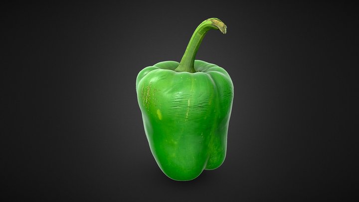 Holidays in the fridge - Mr. Green Pepper 3D Model