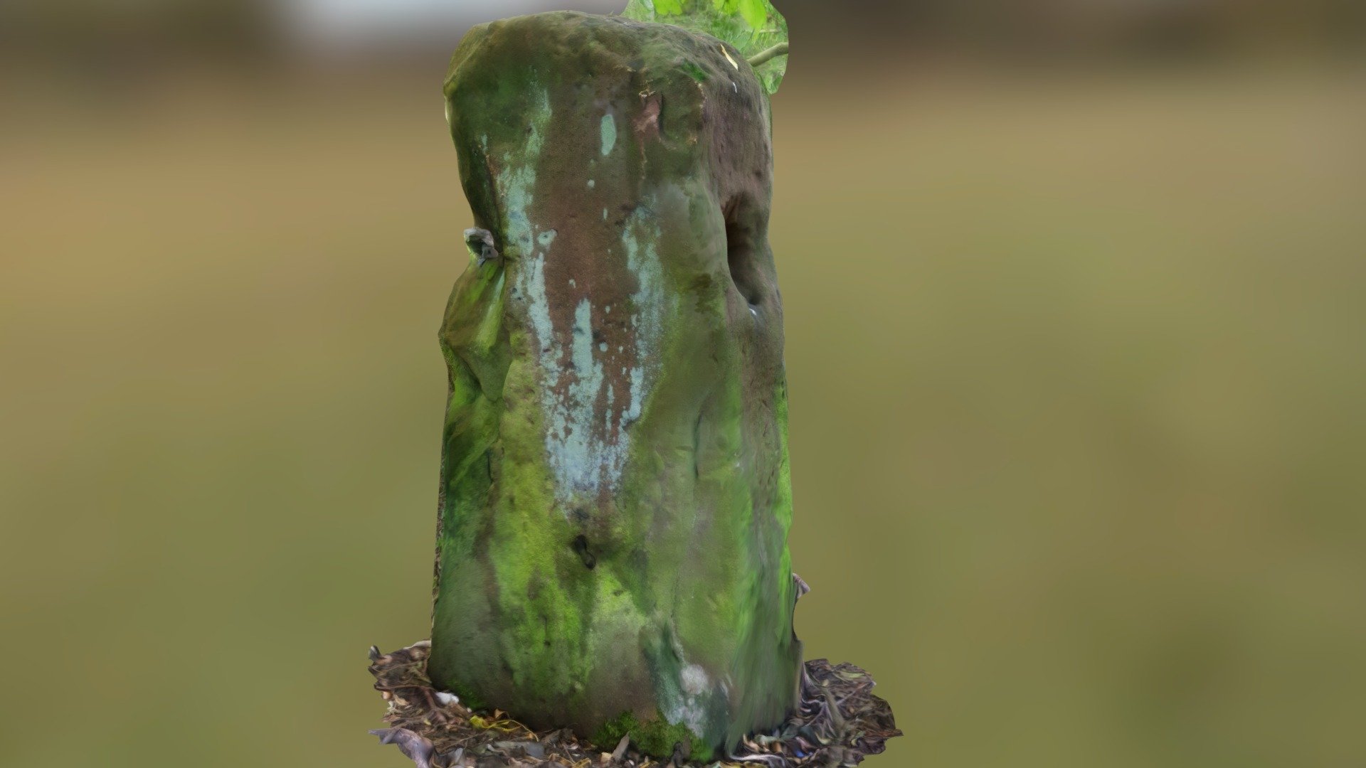 Hidden Stone