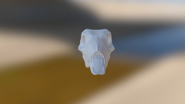 Deer Skull Base Mesh 3D Model