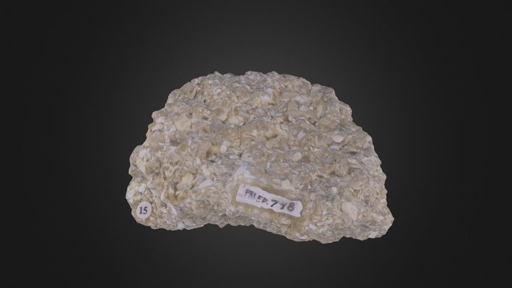 Sedimentary Rock: Coquina – Free 3D Model STL