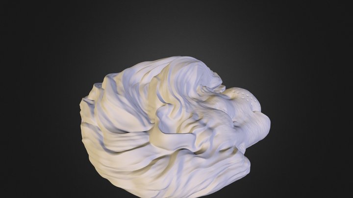 lion head 3D Model