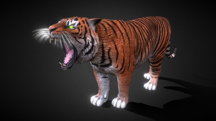 Caspian Tiger 3D Model